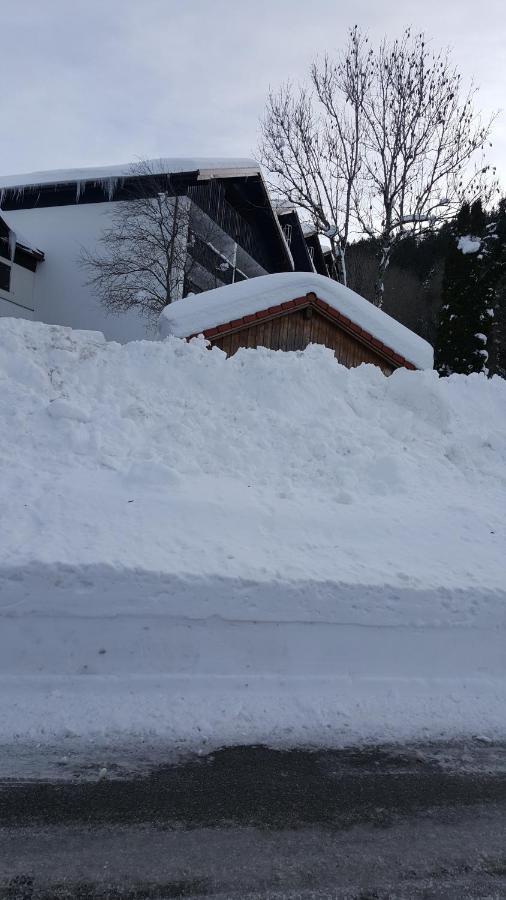 Fewo Friado Im Ferienpark Oa - Ohne Zusatzkosten Nach Anreise - Mit Hallenbad, W-Lan, Pkw-Garage, Kurtaxe Mit Allgaeu-Walser-Pass, Bett- Und Handtuch-Waesche Sowie End-Reinigung 미센 윌햄스 외부 사진