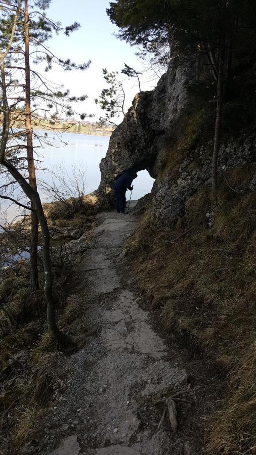 Fewo Friado Im Ferienpark Oa - Ohne Zusatzkosten Nach Anreise - Mit Hallenbad, W-Lan, Pkw-Garage, Kurtaxe Mit Allgaeu-Walser-Pass, Bett- Und Handtuch-Waesche Sowie End-Reinigung 미센 윌햄스 외부 사진